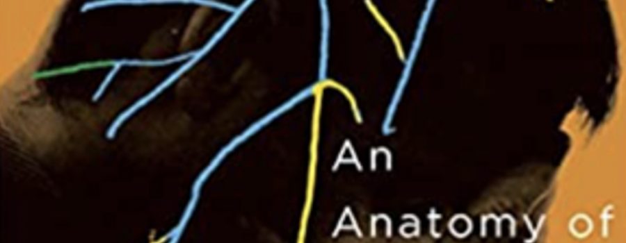 <B><I>An Anatomy of Everyday Arguments: Conflict and Change through Insight</I></B> by Marnie Jull (McGill-Queen’s University Press) — Reviewed by Demi Peters, Q.Med